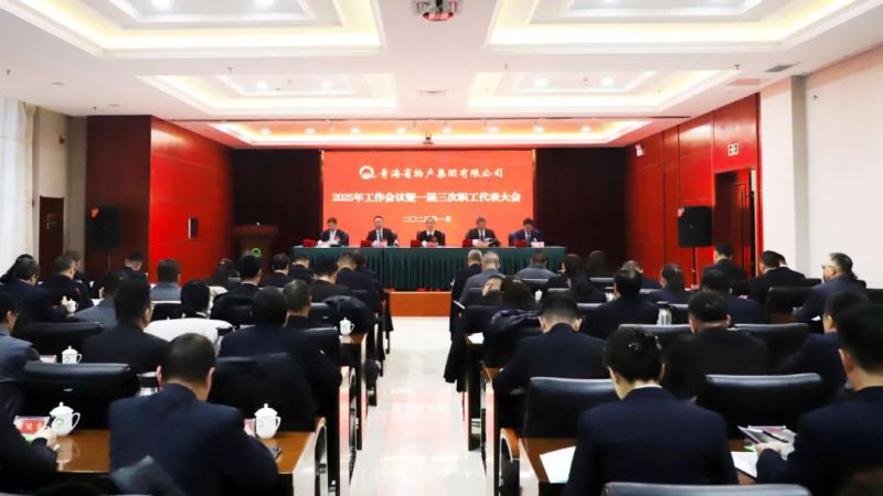 坚定信心促发展 实干争先攀新高&mdash;&mdash;省williamhill官网2025年工作会议暨一届三次职代会胜利召开