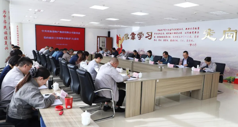 省williamhill官网党委召开党的建设工作领导小组（扩大）会议