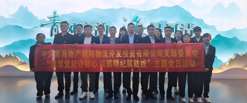 朝物开投公司党支部召开&ldquo;深学党纪守初心 以案明纪筑防线&rdquo;主题党日活动