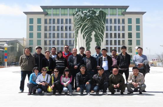 现代物流公司举办&ldquo;迎五四&rdquo;登山拓展活动